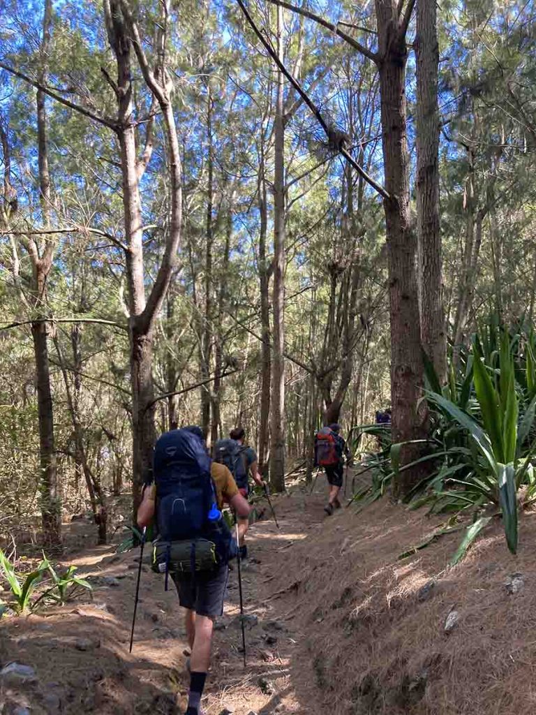 Wandergruppe läuft durch den Filaowald