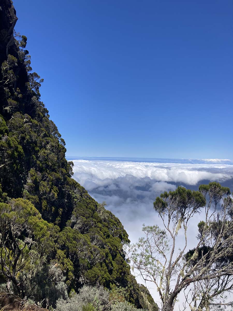 Ausblick auf die Wolken