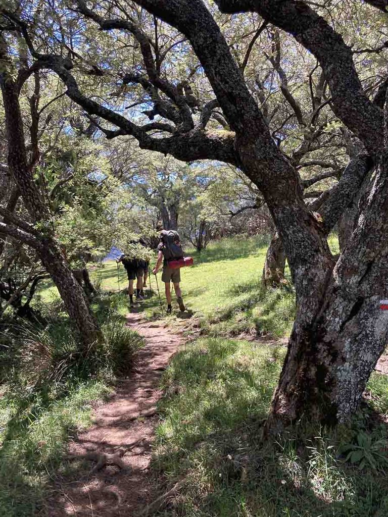 Wandern durch Wiese