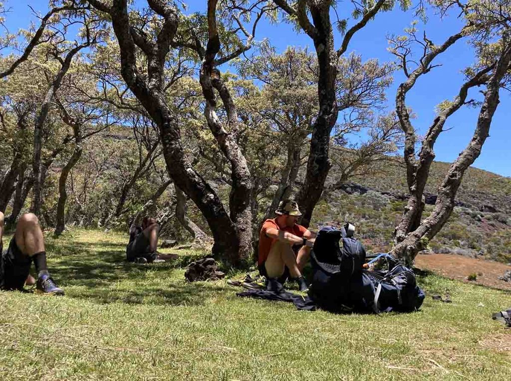 Wanderer machen Pause unter einem Baum