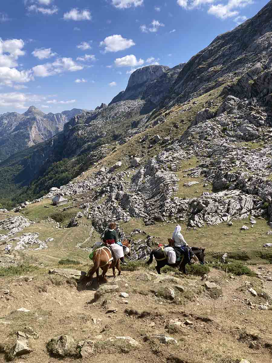 zwei Reiter auf Pferden reiten beladen den Hügel hinab
