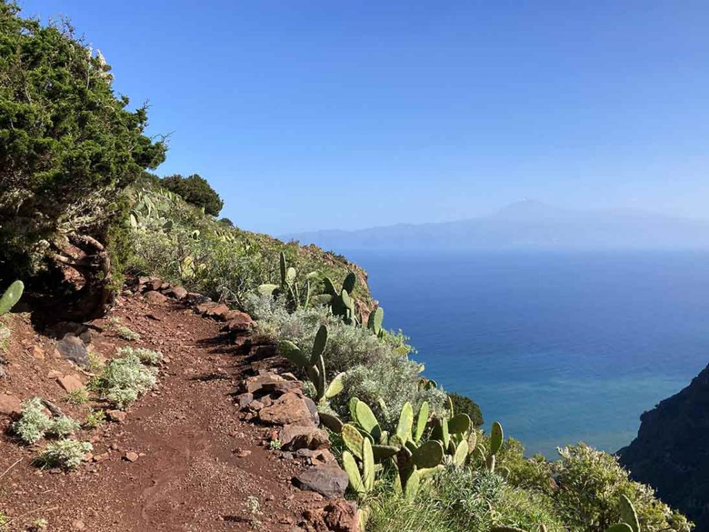 Wanderweg mit Kakteen und Meerblick