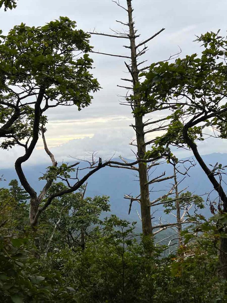 Ausblick auf Berge im Jirisan Nationalpark - eine der schönsten Wanderungen in Südkorea