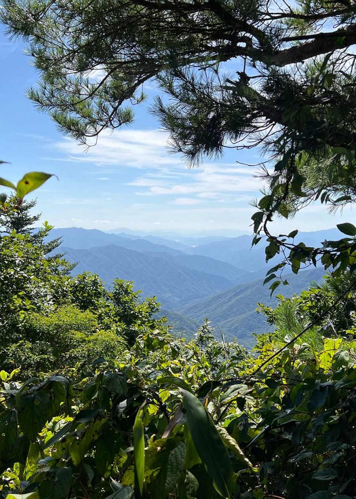 Ausblick auf die Gipfel Jirisans - eine der schönsten Wanderungen in Südkorea