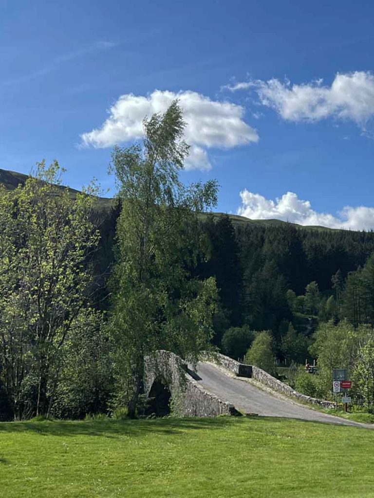 alte Brücke im Grünen