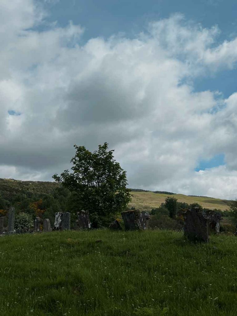 Moorlandschaft
