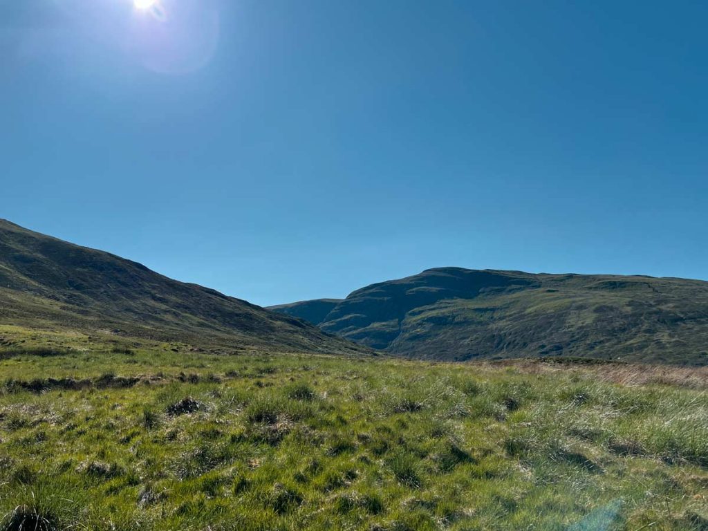 weite grüne Landschaft