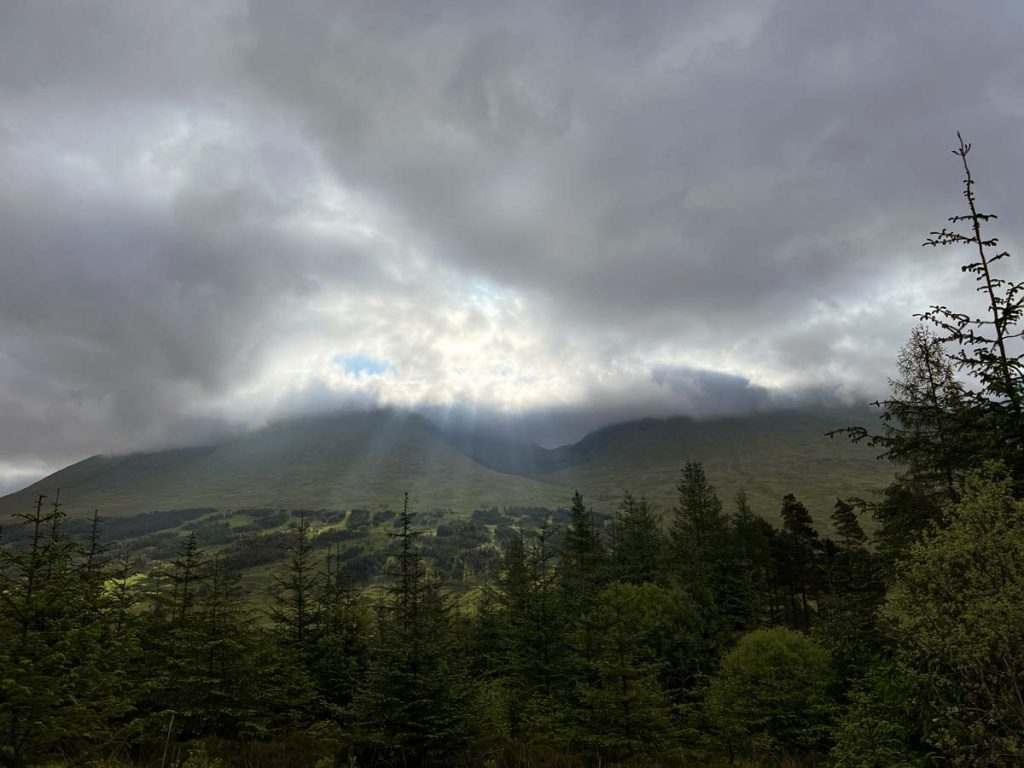 Die Sonne bricht durch die dunklen Wolken und scheint auf Bäume