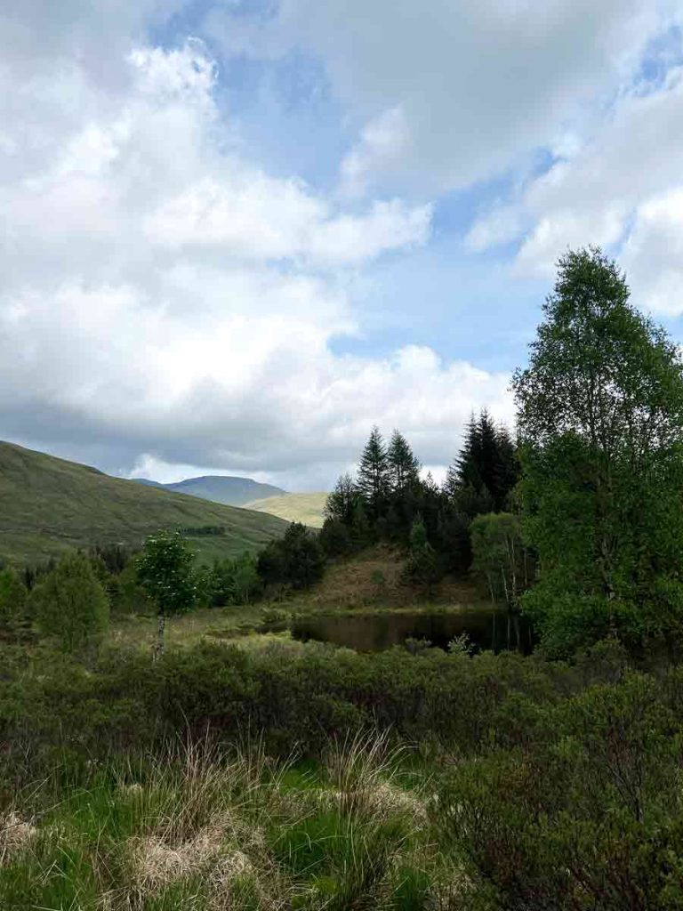 Moorlandschaft
