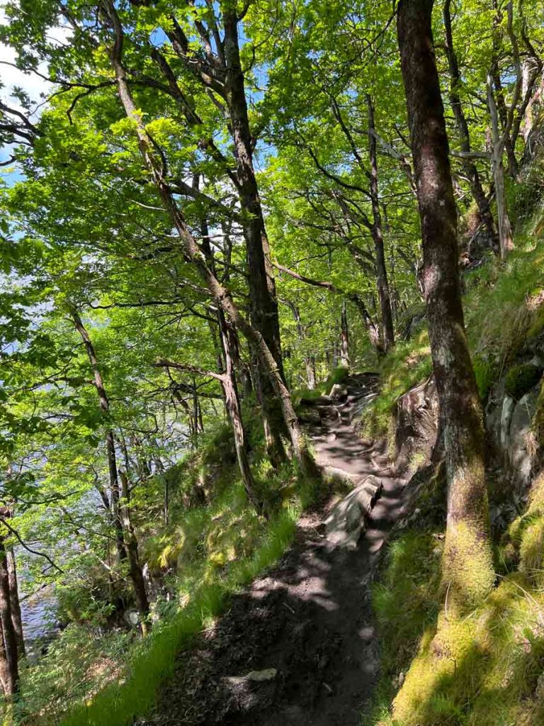 Ein Uferweg, links und rechts Bäume