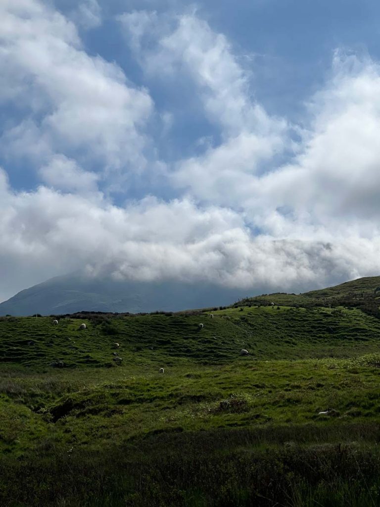 Ein grüner Hügel mit Schafen, dahinter wolkenverhangene Berge